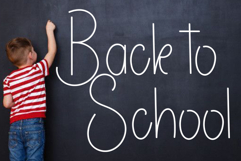 Delight Handmade Product Image 8