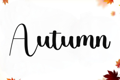 Delight Wedding Product Image 4