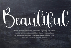 Delight Product Image 6