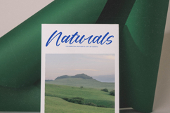 Delighta - Modern Handwritten Font Script Product Image 10