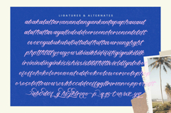 Delighta - Modern Handwritten Font Script Product Image 14