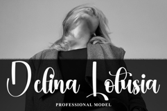 Delightful Product Image 4