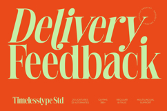 Delivery Feedback - Modern Serif Font Product Image 1