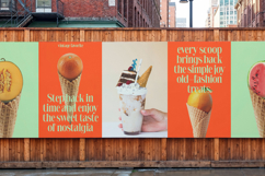 Delivery Feedback - Modern Serif Font Product Image 2