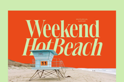 Delivery Feedback - Modern Serif Font Product Image 3