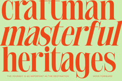 Delivery Feedback - Modern Serif Font Product Image 7