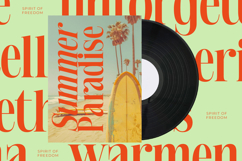 Delivery Feedback - Modern Serif Font Product Image 9