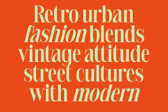 Delivery Feedback - Modern Serif Font Product Image 10