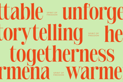 Delivery Feedback - Modern Serif Font Product Image 13