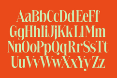 Delivery Feedback - Modern Serif Font Product Image 14