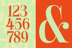 Delivery Feedback - Modern Serif Font Product Image 16