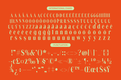 Delivery Feedback - Modern Serif Font Product Image 18