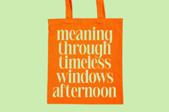 Delivery Feedback - Modern Serif Font Product Image 19