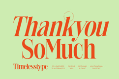 Delivery Feedback - Modern Serif Font Product Image 20