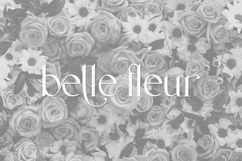 Delvey Serif Product Image 12