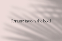 Delvey Serif Product Image 13