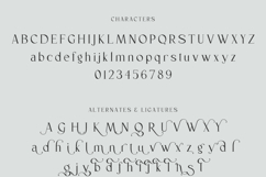 Delvey Serif Product Image 18
