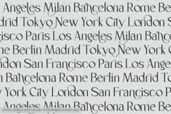 Delvey Serif Product Image 8