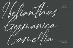 Delynta Roastiph Handwritten Ink Font Product Image 2