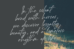 Delynta Roastiph Handwritten Ink Font Product Image 4