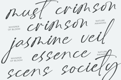 Delynta Roastiph Handwritten Ink Font Product Image 7