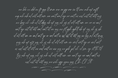 Delynta Roastiph Handwritten Ink Font Product Image 10