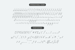 Delynta Roastiph Handwritten Ink Font Product Image 13