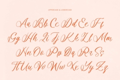 Denieda Marceline Bold Calligraphy Font Product Image 5