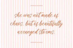 Denieda Marceline Bold Calligraphy Font Product Image 12