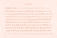 Denieda Marceline Bold Calligraphy Font Product Image 14