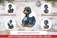 Denim Goose Collage Wind Spinner Product Image 1