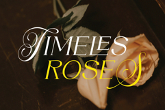 DENOVA // Elegant Luxury Font Product Image 3