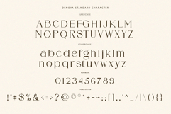 DENOVA // Elegant Luxury Font Product Image 9