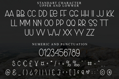 DENVER Product Image 4