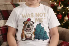 Derpy Sarcastic Holiday Dogs Sublimation Product Image 4