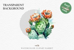 Desert Cactus Succulent Flowers Floral Clipart PNG Scrapbook Nursery Watercolor Transparent wedding invitation shirt designs sublimation printable digital bloom watercolor Desert Cactus, Succulent flowers clipart, victorian floral nursery art, spring invi