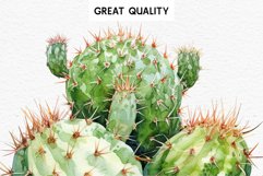 watercolor Desert Cactus, Succulent flowers clipart, victorian floral nursery art, springt Cactus Succulent Flowers Floral Clipart PNG Scrapbook Nursery Watercolor Transparent wedding invitation shirt designs sublimation printable digital bloom