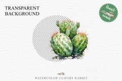 Desert Cactus Succulent Flowers Floral Clipart PNG Scrapbook Nursery Watercolor Transparent wedding invitation shirt designs sublimation printable digital bloom watercolor Desert Cactus, Succulent flowers clipart, victorian floral nursery art, spring invi