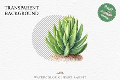 Desert Cactus Succulent Flowers Floral Clipart PNG Scrapbook Nursery Watercolor Transparent wedding invitation shirt designs sublimation printable digital bloom watercolor Desert Cactus, Succulent flowers clipart, victorian floral nursery art, spring invi