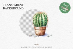 Desert Cactus Succulent Flowers Floral Clipart PNG Scrapbook Nursery Watercolor Transparent wedding invitation shirt designs sublimation printable digital bloom watercolor Desert Cactus, Succulent flowers clipart, victorian floral nursery art, spring invi