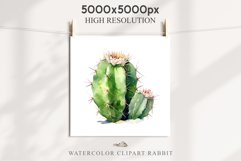Desert Cactus Succulent Flowers Floral Clipart PNG Scrapbook Nursery Watercolor Transparent wedding invitation shirt designs sublimation printable digital bloom watercolor Desert Cactus, Succulent flowers clipart, victorian floral nursery art, spring invi