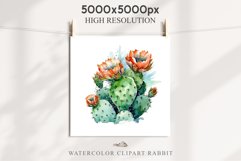 Desert Cactus Succulent Flowers Floral Clipart PNG Scrapbook Nursery Watercolor Transparent wedding invitation shirt designs sublimation printable digital bloom watercolor Desert Cactus, Succulent flowers clipart, victorian floral nursery art, spring invi