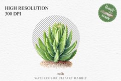 watercolor Desert Cactus, Succulent flowers clipart, victorian floral nursery art, springt Cactus Succulent Flowers Floral Clipart PNG Scrapbook Nursery Watercolor Transparent wedding invitation shirt designs sublimation printable digital bloom
