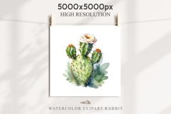 Desert Cactus Succulent Flowers Floral Clipart PNG Scrapbook Nursery Watercolor Transparent wedding invitation shirt designs sublimation printable digital bloom watercolor Desert Cactus, Succulent flowers clipart, victorian floral nursery art, spring invi