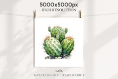 Desert Cactus Succulent Flowers Floral Clipart PNG Scrapbook Nursery Watercolor Transparent wedding invitation shirt designs sublimation printable digital bloom watercolor Desert Cactus, Succulent flowers clipart, victorian floral nursery art, spring invi