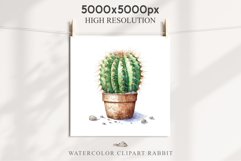 Desert Cactus Succulent Flowers Floral Clipart PNG Scrapbook Nursery Watercolor Transparent wedding invitation shirt designs sublimation printable digital bloom watercolor Desert Cactus, Succulent flowers clipart, victorian floral nursery art, spring invi