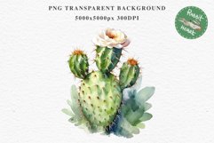 Desert Cactus Succulent Flowers Floral Clipart PNG Scrapbook Nursery Watercolor Transparent wedding invitation shirt designs sublimation printable digital bloom watercolor Desert Cactus, Succulent flowers clipart, victorian floral nursery art, spring invi