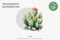 Desert Cactus Succulent Flowers Floral Clipart PNG Scrapbook Nursery Watercolor Transparent wedding invitation shirt designs sublimation printable digital bloom watercolor Desert Cactus, Succulent flowers clipart, victorian floral nursery art, spring invi