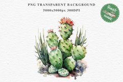 Desert Cactus Succulent Flowers Floral Clipart PNG Scrapbook Nursery Watercolor Transparent wedding invitation shirt designs sublimation printable digital bloom watercolor Desert Cactus, Succulent flowers clipart, victorian floral nursery art, spring invi