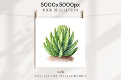 Desert Cactus Succulent Flowers Floral Clipart PNG Scrapbook Nursery Watercolor Transparent wedding invitation shirt designs sublimation printable digital bloom watercolor Desert Cactus, Succulent flowers clipart, victorian floral nursery art, spring invi